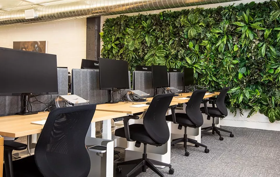 Raumbegrünung Grönfingers Rostock Gartenfachmarkt GmbH