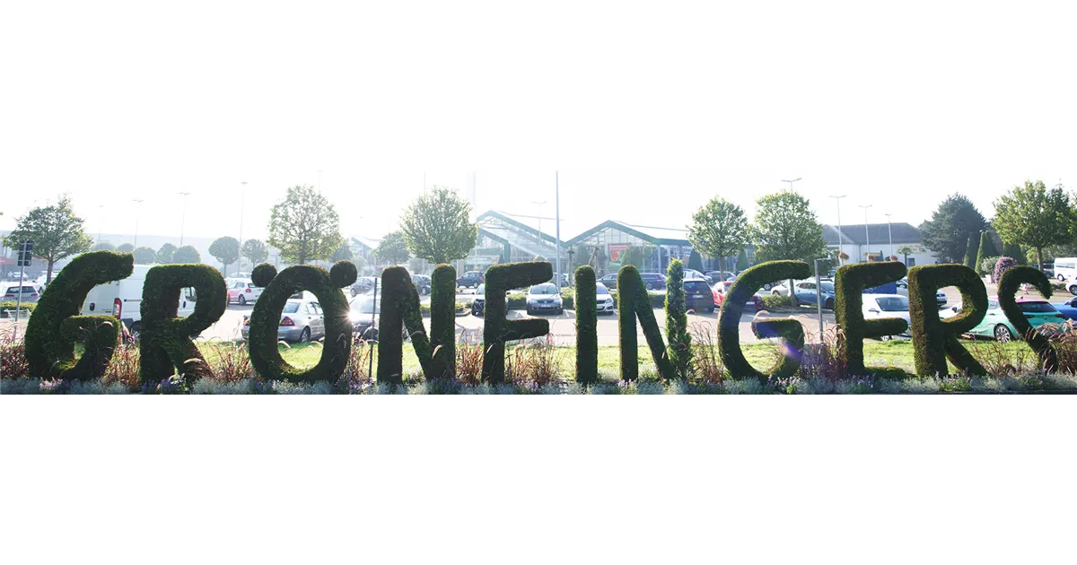 Gartenwissen Grönfingers Rostock Gartenfachmarkt GmbH