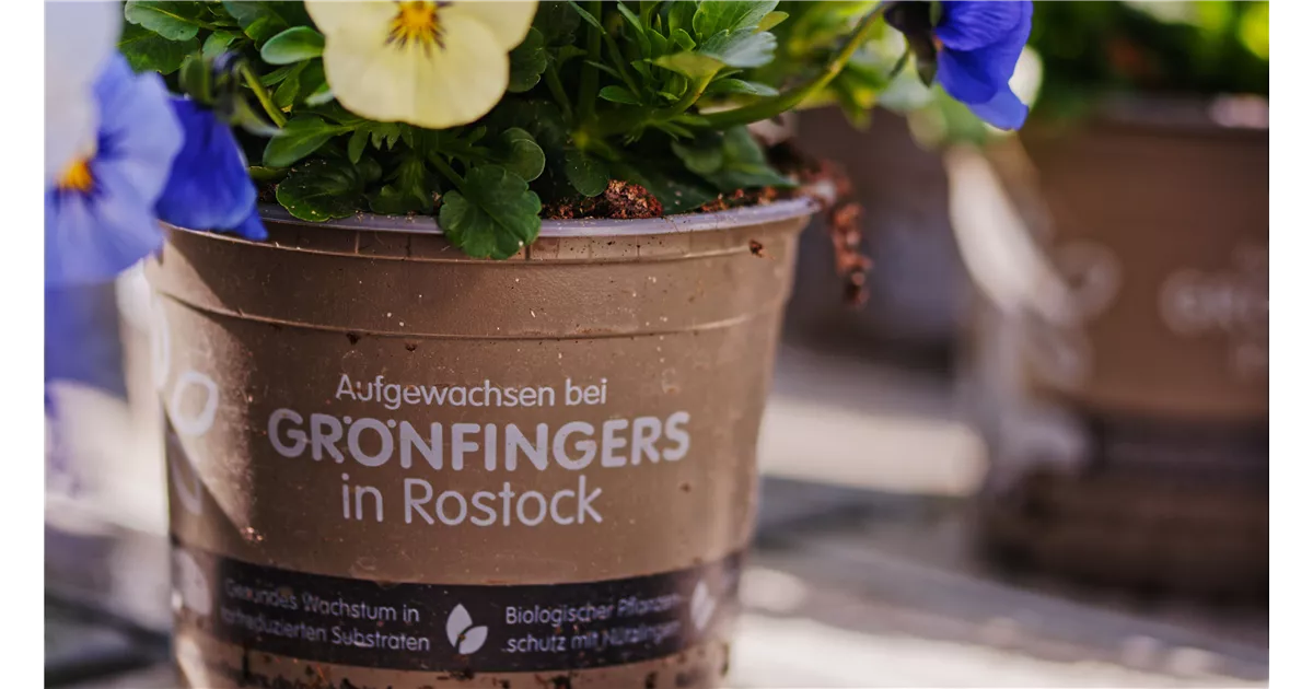 Nachhaltigkeit Grönfingers Rostock Gartenfachmarkt GmbH