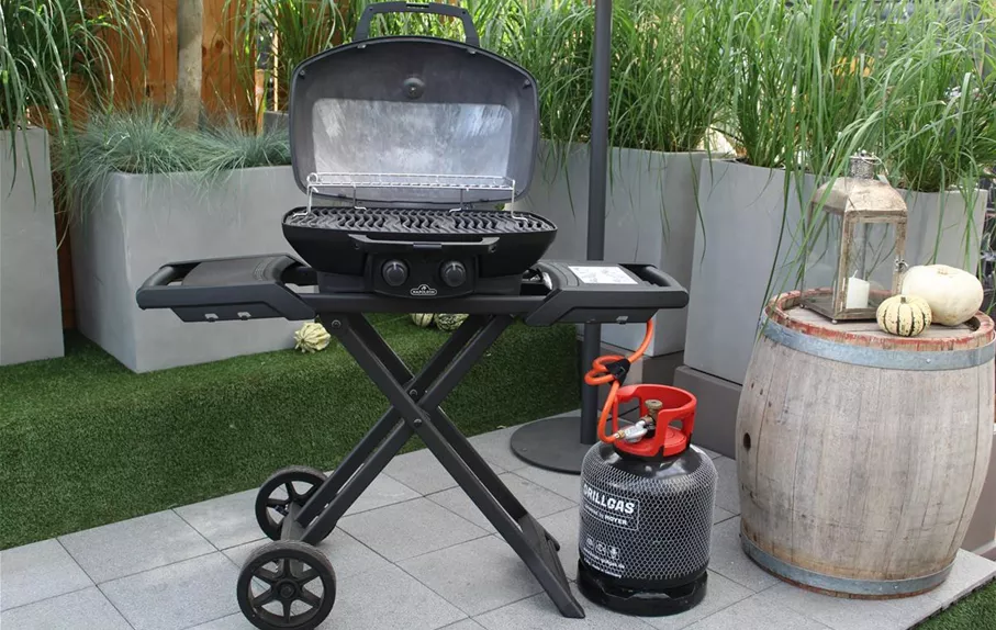 Napoleon Grönfingers Rostock Gartenfachmarkt GmbH