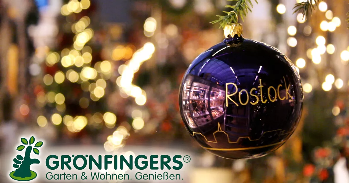 Weihnachtsmarkt Grönfingers Rostock Gartenfachmarkt GmbH