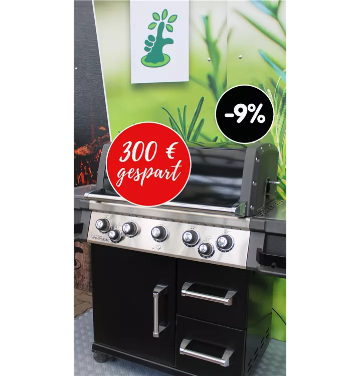 broil king regal 590 black