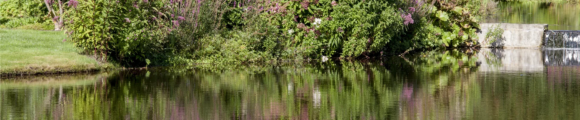 GS503583.jpg GS503583.jpg