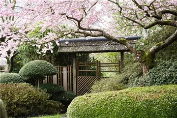 Ruhe und Erholung im japanischen Garten