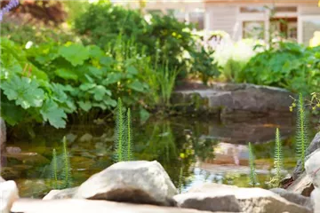 Gartenteich anlegen
