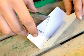 Löwenmaul - Aussäen von Samen