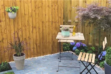 Federborstengras - Einpflanzen in ein Gefäß