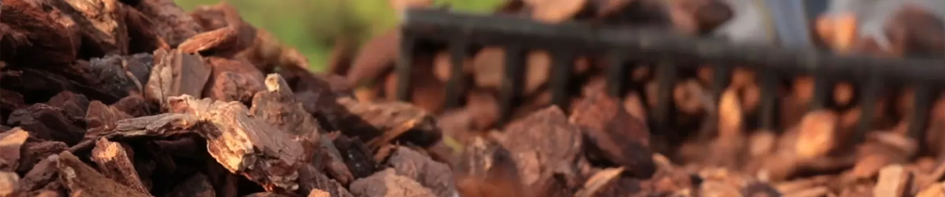 Pinienrinde im Garten - Praktisch und Dekorativ.jpg Pinienrinde im Garten - Praktisch und Dekorativ.jpg