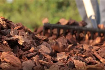 Pinienrinde im Garten - Praktisch und dekorativ Pinienrinde im Garten - Praktisch und dekorativ
