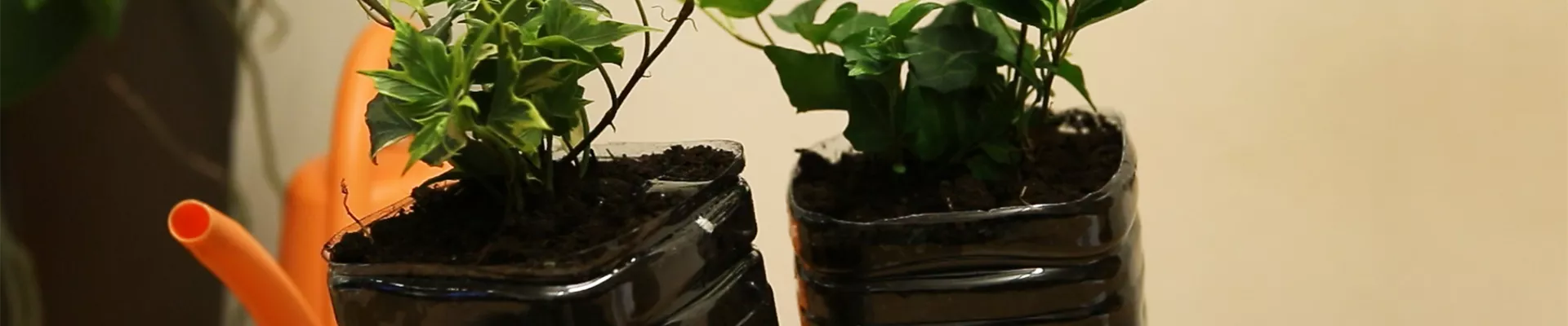 DIY Urlaubsbewässerung (thumbnail).jpg