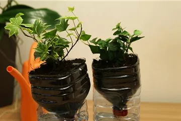 Wie machst du das? - Selbstbewässerungstopf bauen