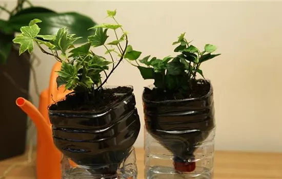 Wie machst du das? - Selbstbewässerungstopf bauen