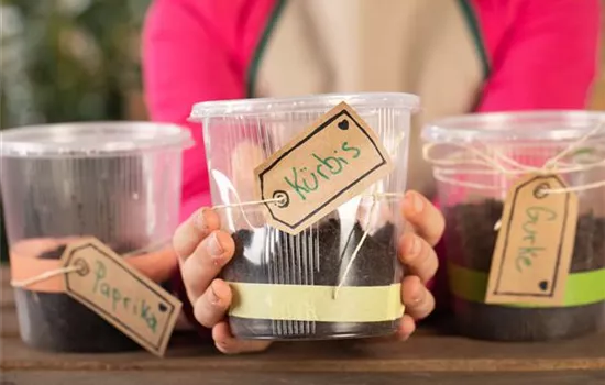 Mini-Gewächshaus – mit Plastik etwas Gutes tun Mini-Gewächshaus – mit Plastik etwas Gutes tun