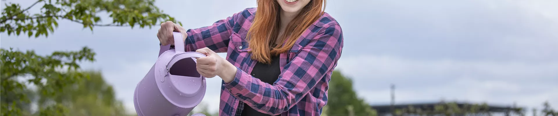 GS619552.jpg GS619552.jpg