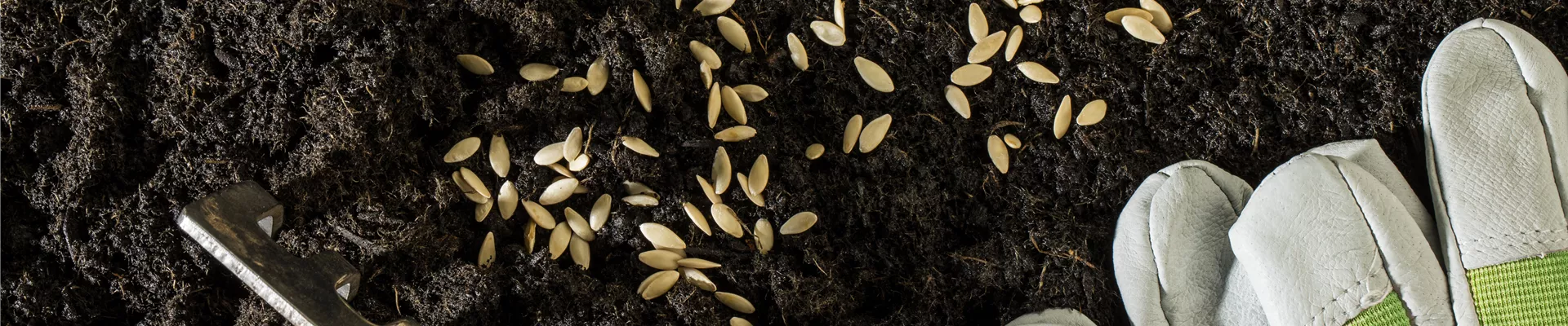 GS596298.jpg GS596298.jpg