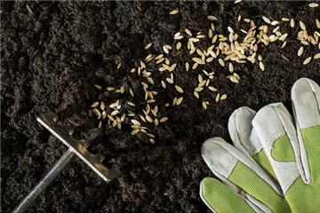 Die Aussaat und das Pflanzgut – für einen guten Start ins Gartenjahr