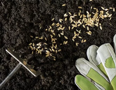 Die Aussaat und das Pflanzgut – für einen guten Start ins Gartenjahr
