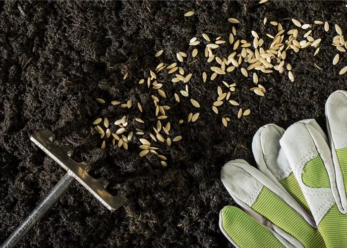 Die Aussaat und das Pflanzgut – für einen guten Start ins Gartenjahr