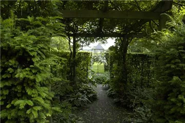 Garten easy going – so wird der Garten pflegeleicht