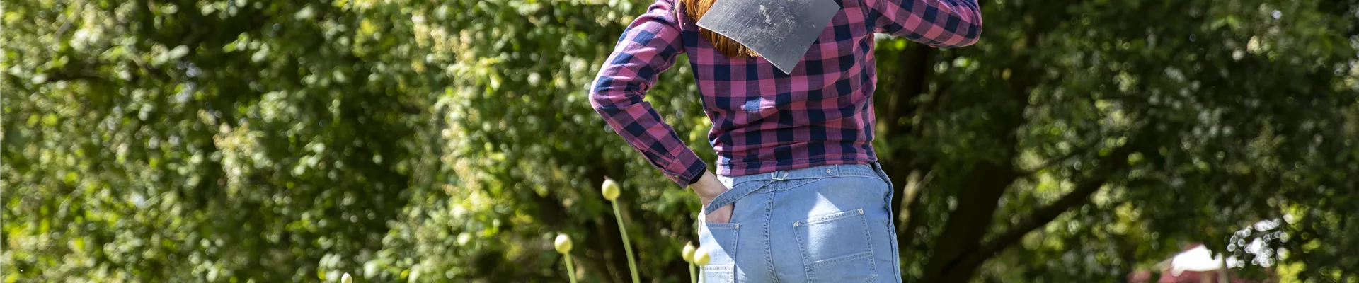 GS619863.jpg GS619863.jpg