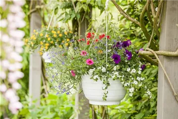 Urlaub auf Balkonien – Grüne Oasen auf dem Balkon