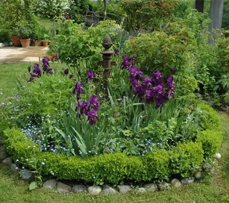 Auf gute Nachbarschaft – Pflanzen und ihre Partner im Beet