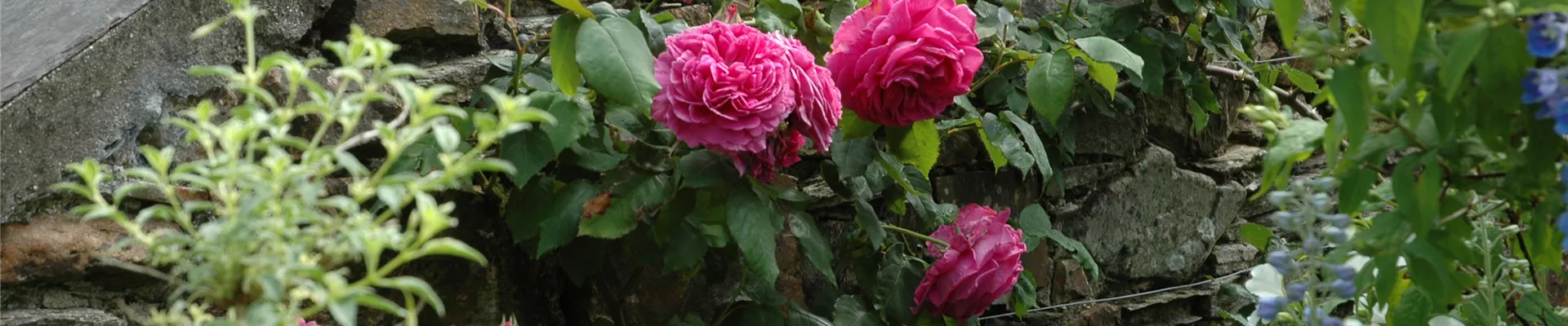 GS621400.jpg