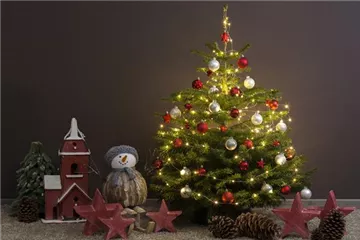 Tradition des Weihnachtsbaums