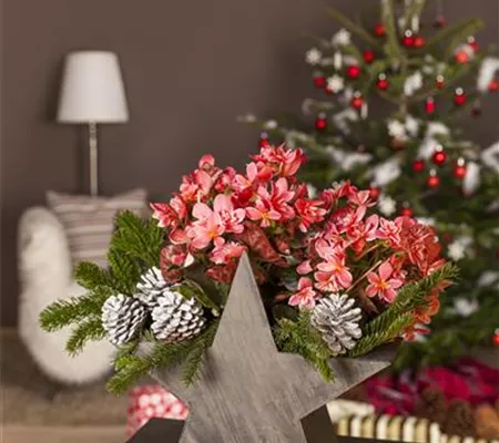Advent - mit schönen Ideen durch die Vorweihnachtszeit  Advent - mit schönen Ideen durch die Vorweihnachtszeit