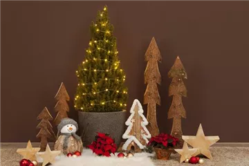 Fichte als Weihnachtsbaum: Die Alternative zur Tanne