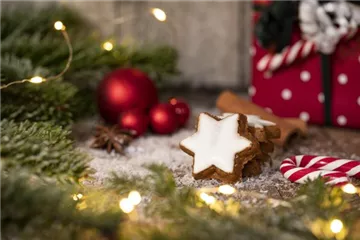 Grüne Kugeln – die etwas andere Weihnachtsdeko