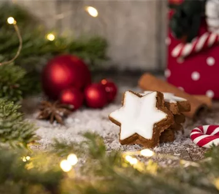 Grüne Kugeln – die etwas andere Weihnachtsdeko