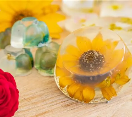 Blumenseife - die etwas andere Seife mit Blüten