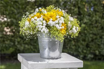 Schnittblumen aus dem eigenen Garten – den Garten ins Haus holen