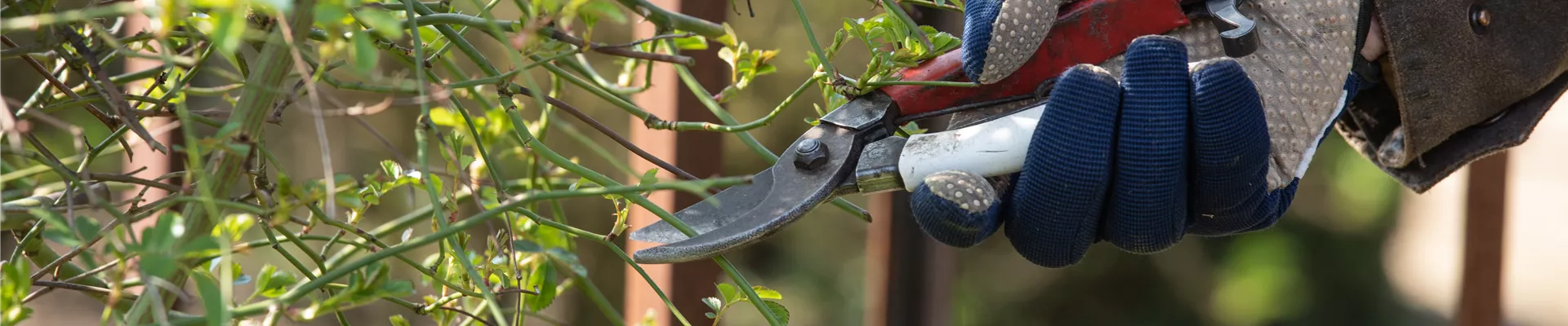 GS620149.jpg GS620149.jpg