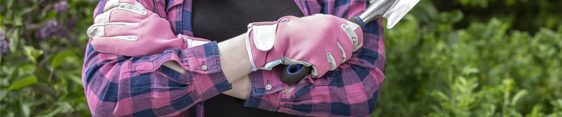 GS619544.jpg GS619544.jpg