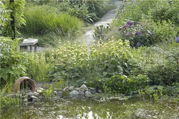 Der Naturgarten - Ausgleich zum Arbeitsalltag