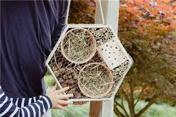 Ein Insektenhotel im Garten - Urlaub für kleine Nützlinge.