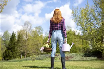 Alles auf Anfang – ein Blumenbeet anlegen