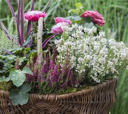 Blüten-Farben richtig kombinieren – eine Frage der Farbe