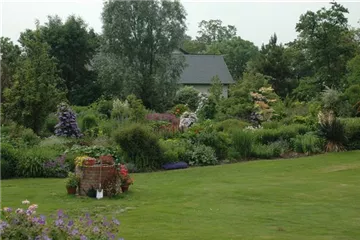 Der Brunnen im Garten – nicht nur beim Froschkönig beliebt