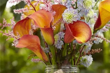 Beauty-Kur für den Blumenstrauß: Pülverchen und Hausmittel