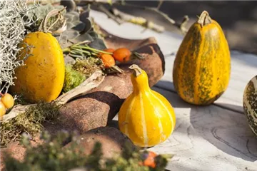Es wird bunt! Herbst-Deko im Haus Es wird bunt! Herbst-Deko im Haus