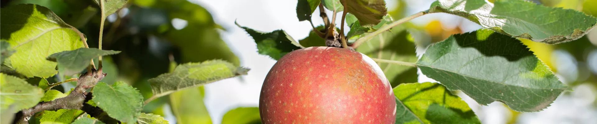 GS613519.jpg GS613519.jpg