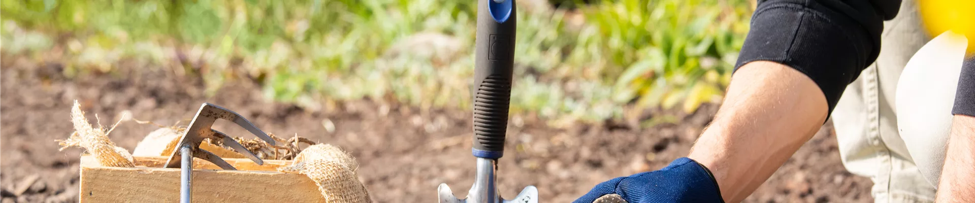 GS651205.jpg GS651205.jpg