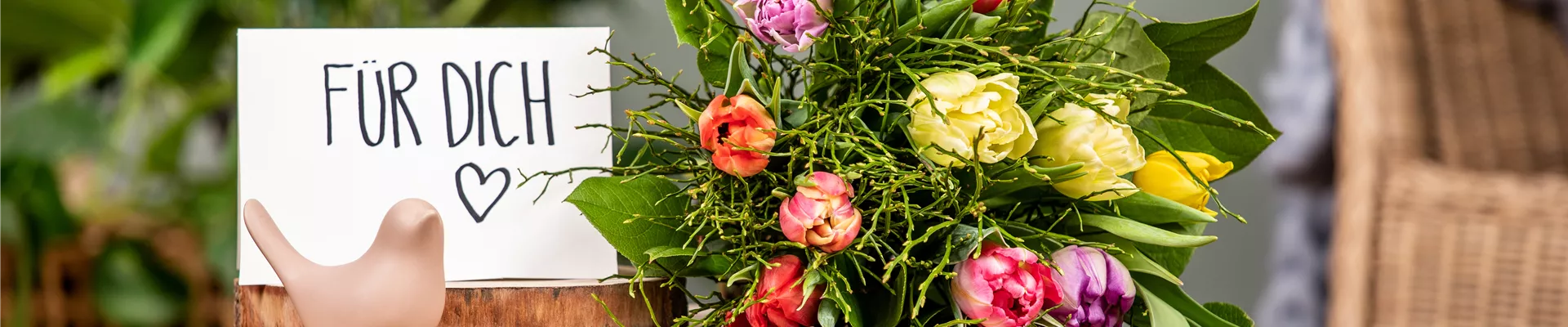 GS653691.jpg GS653691.jpg