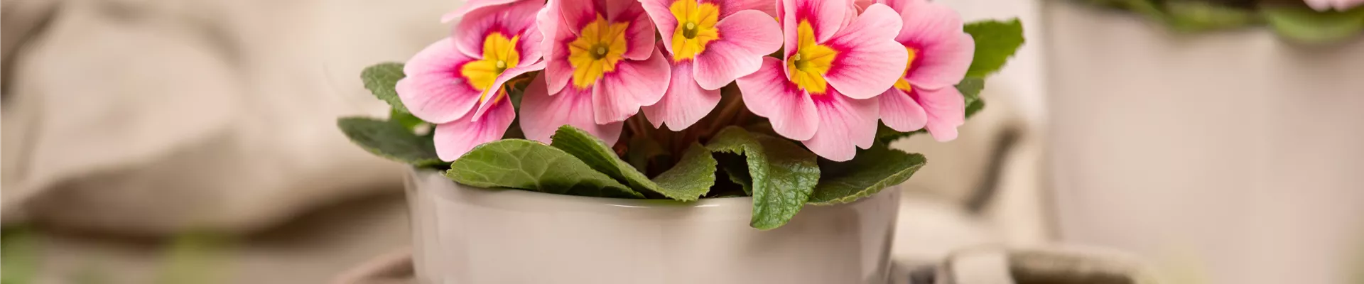 GS653535.jpg GS653535.jpg