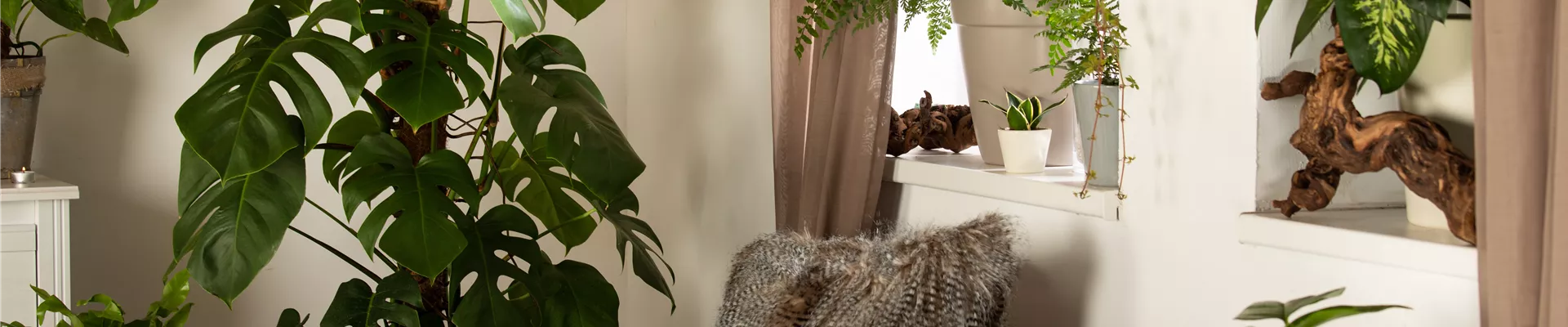 GS610228.jpg GS610228.jpg