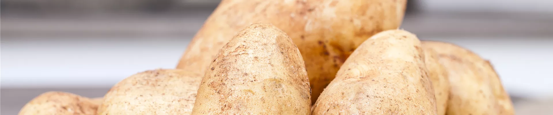 GS510216.jpg GS510216.jpg