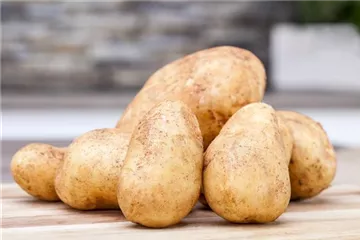 Pflanzkartoffeln – die Basis des heimischen Kartoffelanbaus